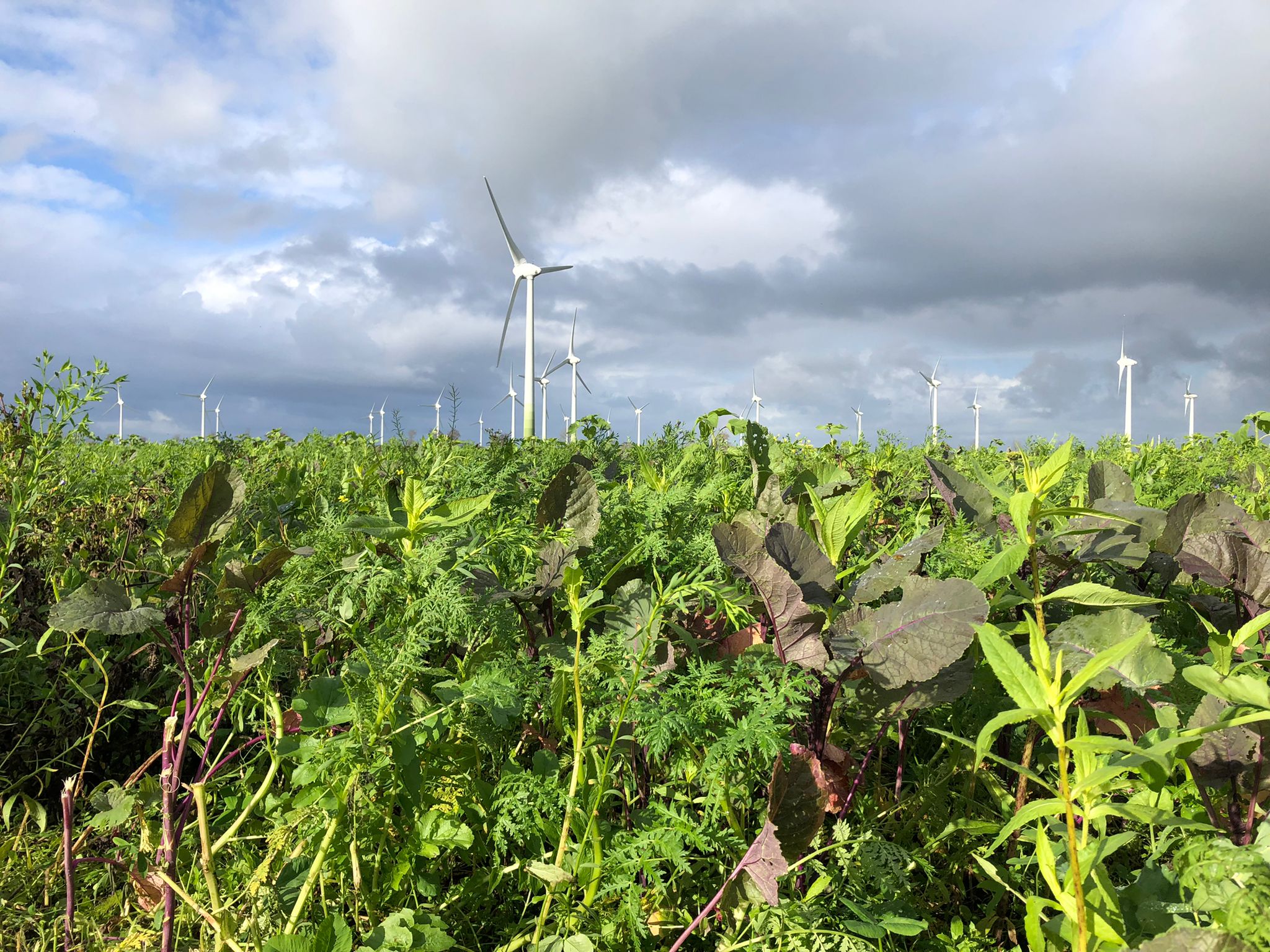 newsimages/103-Feldtag 2022 5.jpg